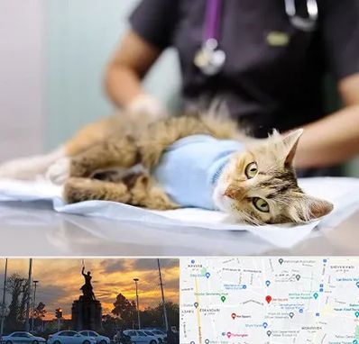 جراح حیوانات در میدان حر 