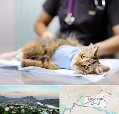 جراح حیوانات در لواسان