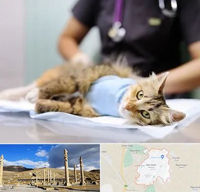 جراح حیوانات در مرودشت