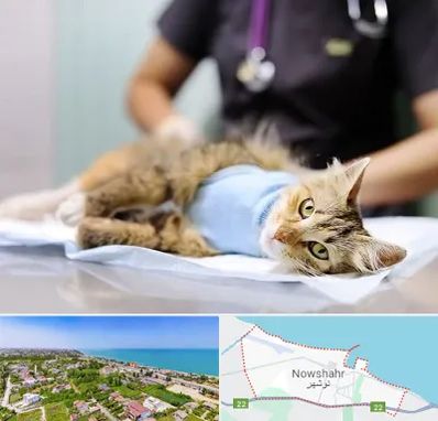 جراح حیوانات در نوشهر