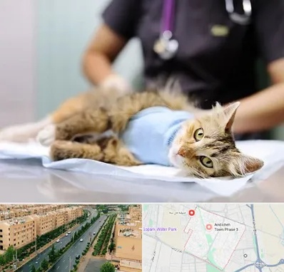 جراح حیوانات در فاز سه اندیشه