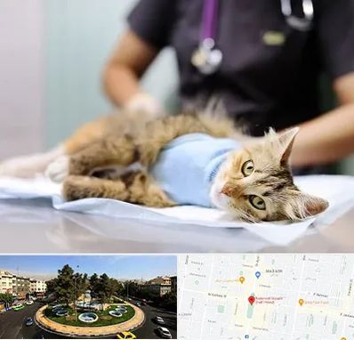 جراح حیوانات در هفت حوض 