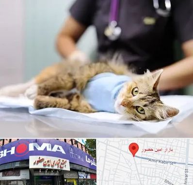 جراح حیوانات در امین حضور