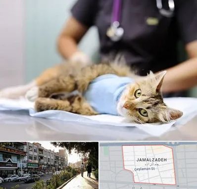 جراح حیوانات در خیابان جمالزاده