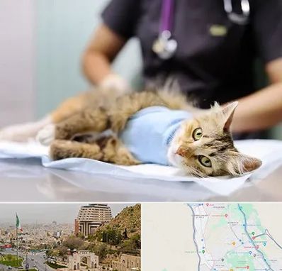 جراح حیوانات در فرهنگ شهر شیراز