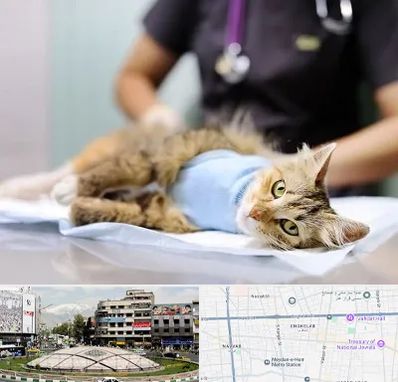 جراح حیوانات در مرکز تهران