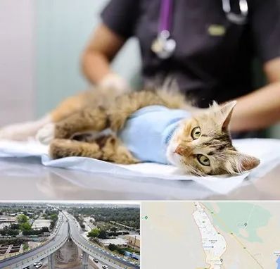 جراح حیوانات در اندیمشک