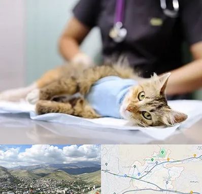 جراح حیوانات در رودهن