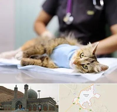 جراح حیوانات در شهرضا