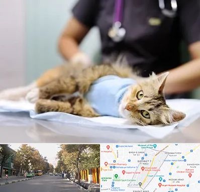 جراح حیوانات در شریعتی 