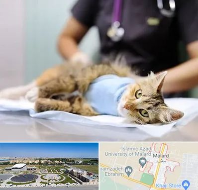 جراح حیوانات در ملارد