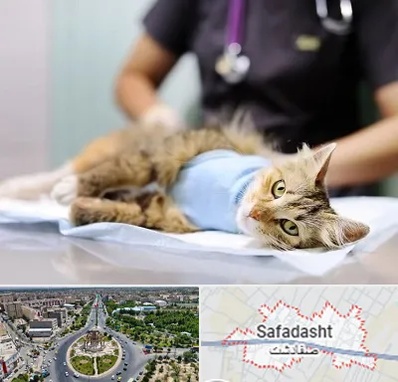 جراح حیوانات در صفادشت
