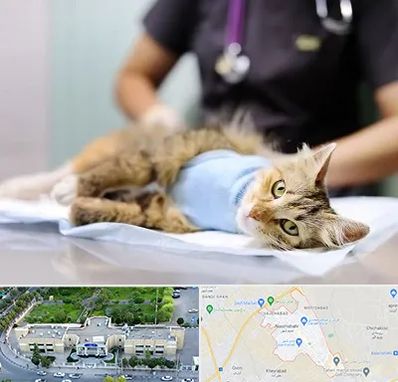 جراح حیوانات در نسیم شهر