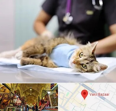 جراح حیوانات در بازار وکیل شیراز