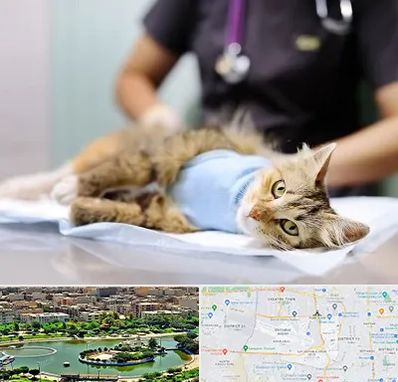 جراح حیوانات در منطقه 9 تهران 