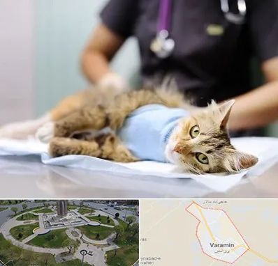 جراح حیوانات در ورامین