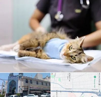 جراح حیوانات در بلوار ابوذر