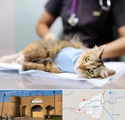 جراح حیوانات در ایرانشهر