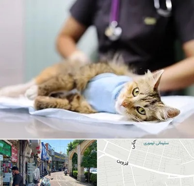 جراح حیوانات در خیابان قزوین