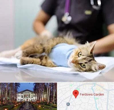 جراح حیوانات در باغ فردوس