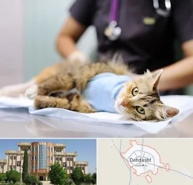 جراح حیوانات در دهدشت