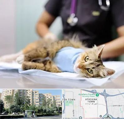 جراح حیوانات در آپادانا