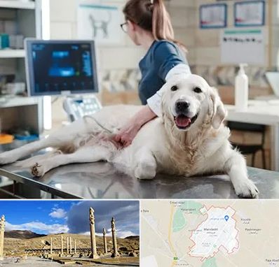 سونوگرافی حیوانات در مرودشت