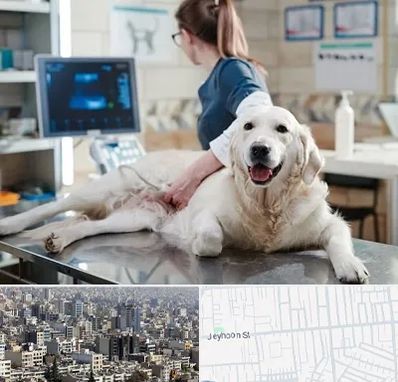 سونوگرافی حیوانات در جیحون