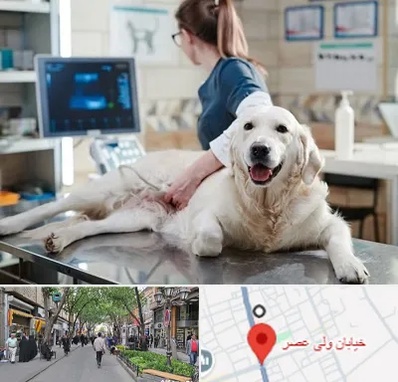 سونوگرافی حیوانات در ولیعصر شهریار