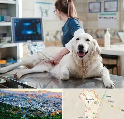 سونوگرافی حیوانات در سنندج