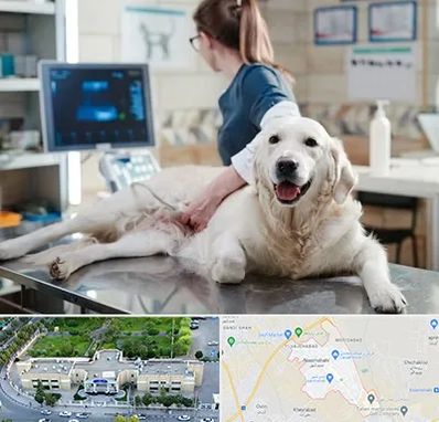 سونوگرافی حیوانات در نسیم شهر