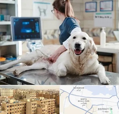 سونوگرافی حیوانات در جنوب غرب تهران
