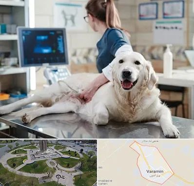 سونوگرافی حیوانات در ورامین