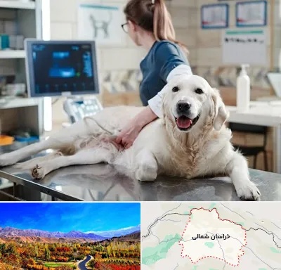سونوگرافی حیوانات در خراسان شمالی