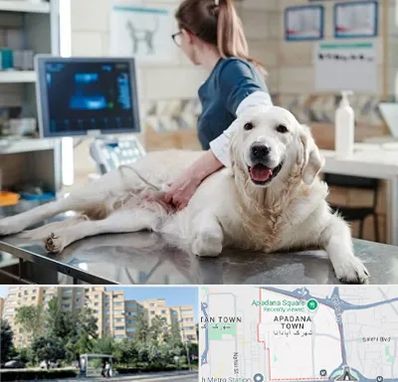 سونوگرافی حیوانات در آپادانا