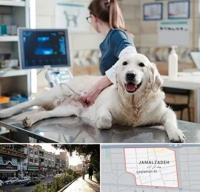 سونوگرافی حیوانات در خیابان جمالزاده