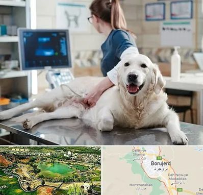 سونوگرافی حیوانات در بروجرد