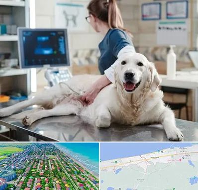 سونوگرافی حیوانات در فریدونکنار