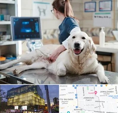 سونوگرافی حیوانات در جمهوری 