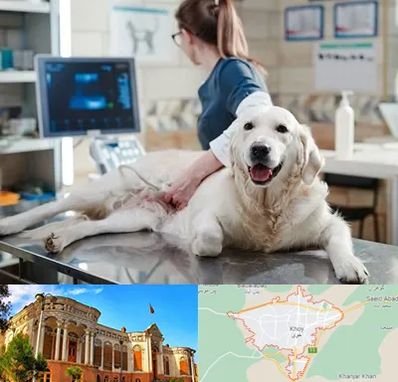 سونوگرافی حیوانات در خوی