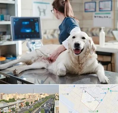 سونوگرافی حیوانات در کیانمهر کرج