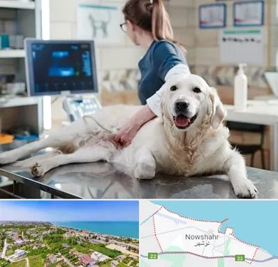 سونوگرافی حیوانات در نوشهر