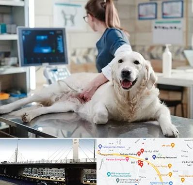 سونوگرافی حیوانات در پارک وی 