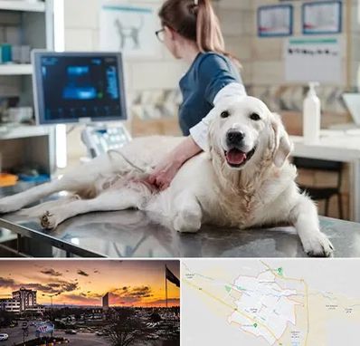 سونوگرافی حیوانات در قوچان