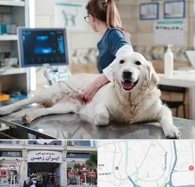 سونوگرافی حیوانات در ایران زمین