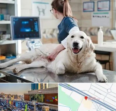 سونوگرافی حیوانات در لاله پارک تبریز