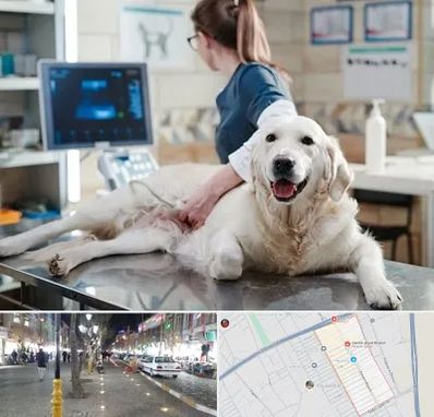 سونوگرافی حیوانات در باغ فیض اسلامشهر