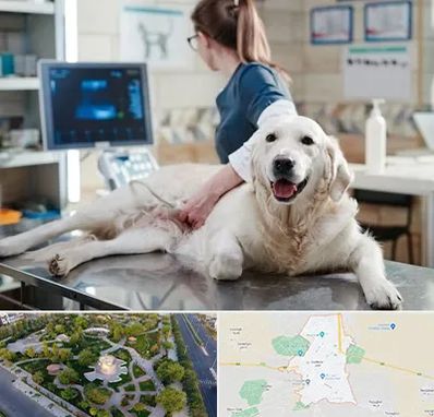 سونوگرافی حیوانات در کاشمر