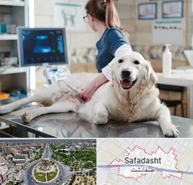 سونوگرافی حیوانات در صفادشت