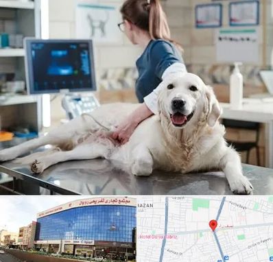 سونوگرافی حیوانات در نصف راه تبریز
